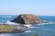 NP N IMG 0078