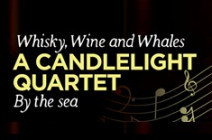 2666 CI Candlelight Orchestra Web Page Banner Final 1